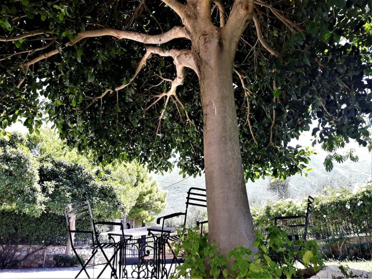 Luxury Country House In Kalamata / Sp 外观 照片